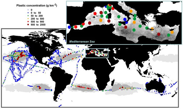 Mapa koncentracji plastiku w oceanach