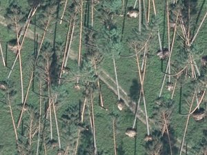 Zniszczenia drzewostanów w Nadleśnictwie Bytów na zdjęciu lotniczym (Źródło: RDLP w Szczecinku)