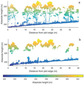 Przy mało zwartych lasach dane IPC (dolny przekrój) mogą posłużyć do opracowania NMT. Górny przekrój: chmura ALS. Źródło: "Forests"