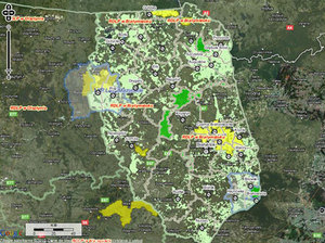 Ruszyła internetowa mapa ochrony przyrody w lasach