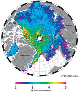 Pierwsza mapa od Cryosata