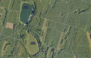 Dużo chętnych na leśne ortofoto <br />
fot. Google Maps