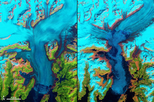 Landsat w księdze Guinessa <br />
Lodowiec Columbia na Alasce