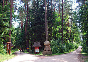 Powstanie mobilna aplikacja mapowa dla Puszczy Knyszyńskiej <br />
fot. Wikipedia/Polimerek