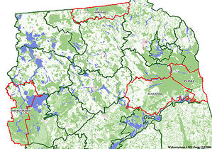 RDLP Białystok: Za ile ortofotomapa dla 4 nadleśnictw?