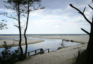 Pracownicy parków krajobrazowych zapoznają się z GIS-owymi narzędziami <br />
fot. Wikipedia/Artur Guzy