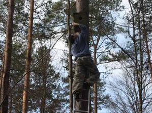 GIS wspiera inwentaryzację sów leśnych w Borach Tucholskich