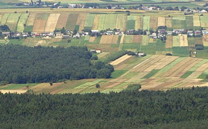 ANR w Olsztynie zleca usługi geodezyjne