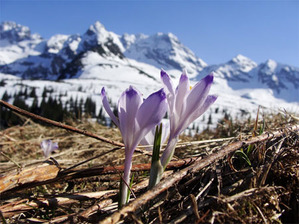 Całe Tatry wkrótce w jednym atlasie <br />
fot. JK