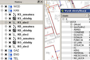 Wykonawca kontroli dostosowania EGiB do ZSIN wybrany