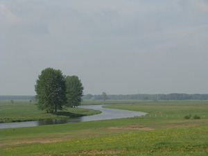 Natura 2000 pod satelitarną kontrolą