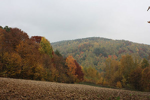 Nadleśnictwo Zagnańsk zleca wykonanie ortofotomapy <br />
fot. Nadleśnictwo Zagnańsk