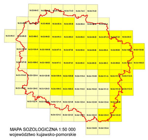 Pełne pokrycie województwa kujawsko-pomorskiego mapami tematycznymi