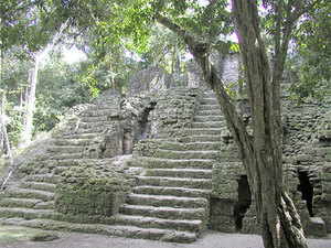 LiDAR pomógł odkryć megalopolis Majów <br />
Fragment ruin miasta Tikal w Gwatemali (Aquaimages/Wikipedia)