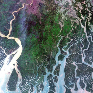 Dane z czterech Sentineli pędzą po europejskiej autostradzie danych <br />
Zobrazowanie delty Gangesu przekazane przez EDRS-A