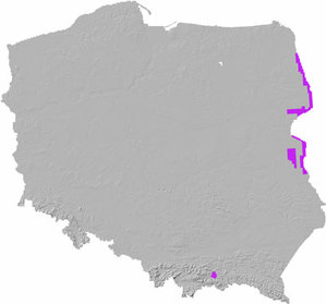 Więcej danych LiDAR dla wschodniej Polski <br />
Zasięg aktualizacji (fot. GUGiK)