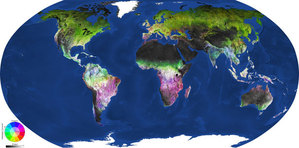 Dynamika pokrycia terenu okiem Sentinela-2 <br />
contains modified Copernicus Sentinel data (2016?18), processed by GeoVille