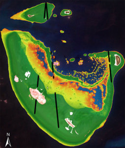 Satelitarny LiDAR znajdzie komercyjne zastosowanie <br />
Model batymetryczny dla atolu Baa na Malediwach opracowany na podstawie danych z satelity Sentinel-2A. Czarnym kolorem oznaczono ścieżkę danych wysokościowych z aparatu ICESat-2 (fot. TCarta)