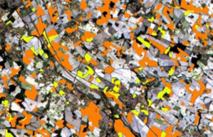 UE chce więcej teledetekcji satelitarnej w rolnictwie <br />
Rozróżnienie upraw na zdjęciu z Sentinela-2: kolor pomarańczowy odpowiada polom słonecznika, a żółty -kukurydzy (Copernicus Sentinel data (2015)/ESA/University of Louvain/CESBIO)