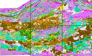 IGiPZ PAN udostępnia kompleksowe mapy roślinności doliny Wisły <br />
Fragment mapy potencjalnej roślinności naturalnej 