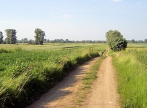 WSA: oględziny są także źródłem danych ewidencyjnych