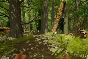 IBL zaprasza na wirtualne spacery po lesie