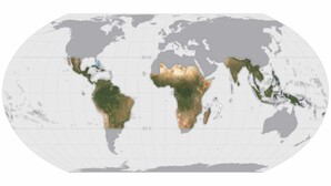 Zobrazowania Planet i Airbus wspomogą walkę z deforestacją <br />
Zakres miesięcznych map bazowych Planet, które mają być dostarczane w ramach inicjatywy NICFI (2020, Planet Labs Inc.)