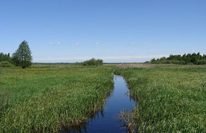 ARiMR zamawia wektorową mapę rowów <br />
fot. JK