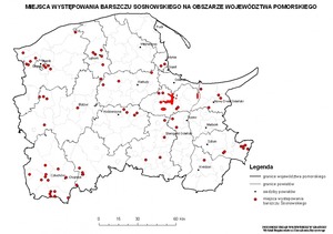 Pomorskie walczy z barszczem Sosnowskiego