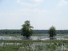 Kampinoski Park Narodowy zamawia GIS