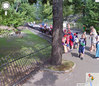 Polskie zoo w Street View