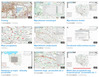 GUGiK na YouTube uczy korzystania z Geoportalu
