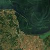 Masowe kwitnienie Bałtyku na zobrazowaniach satelitarnych