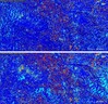 Satelity: Europa sucha jak wiór