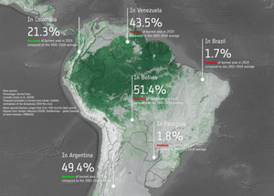 Satelity weryfikują medialny szum wokół zeszłorocznych pożarów Amazonii <br />
fot. Lizundia-Loiola, J., Pettinari, M.L., & Chuvieco, E. (2020)