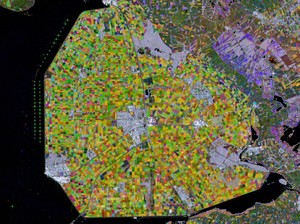 Sen4CAP dla wsparcia satelitarnego monitoringu upraw rolnych <br />
Prowincja Flevoland w Holandii, fot. ESA