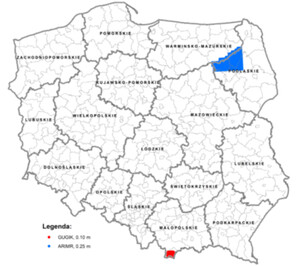 10-centymetrowe zdjęcia lotnicze Zakopanego w zasobie