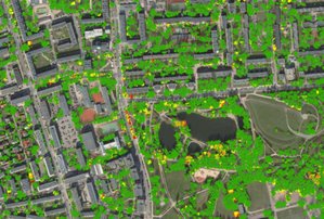 Warszawa publikuje Mapę Koron Drzew <br />
Mapa Koron Drzew - przebarwienia