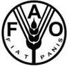 FAO rozpoczyna satelitarny monitoring lasów