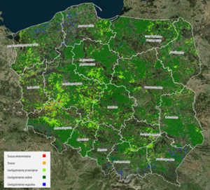 Geoserwis Susza 2020 w pełni funkcjonalny