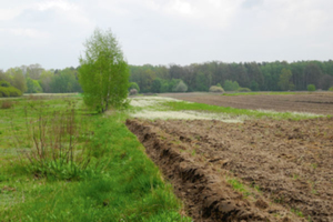 Fot. Katarzyna Pakuła-Kwiecińska