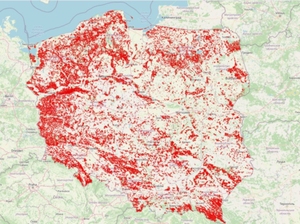 Planowane wycinki lasów na interaktywnej mapie