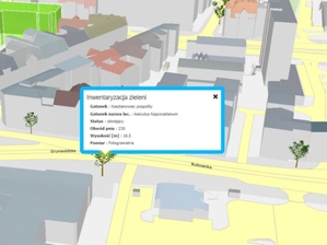 Poznań udostępnia modele 3D drzew na geoportalu