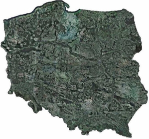 Ortofotomapy GUGiK z pikselem 5 cm dla wszystkich miast powiatowych <br />
fot. Geoportal.gov.pl