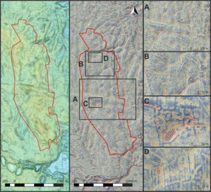 Jak geodeci pomogli odkrywać "drugi Biskupin"? <br />
Stanowisko archeologiczne w wizualizacji Local Relief Model: A ? zachowany układ przestrzenny, B ? zachowany układ po?l uprawnych, C ? zachowany układ przestrzeni mieszkalnej, D ? zbliżenie na zachowane miedze, oprac. M. Sosnowski i J. Czerniec