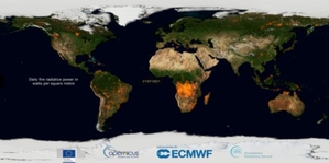 Copernicus: wiosną i wczesnym latem monitorowaliśmy intensywne pożary na półkuli północnej