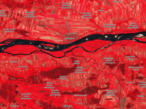 Telekonferencja dotycząca serwisów programu Copernicus <br />
Fot. Sentinel Hub, Copernicus