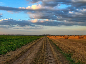 Niestety, do ustawowego określenia kwalifikacji gleboznawców wciąż daleko <br />
Fot. Pixabay