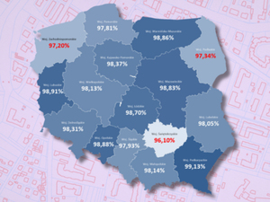 Monitoring dostępności usług WFS. Podsumowanie 2024 r.