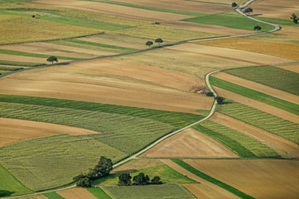 Nie tylko dla rolnika. Scalenie gruntów sposobem na poprawę struktury gospodarstw rolnych <br />
Fot. Pixabay